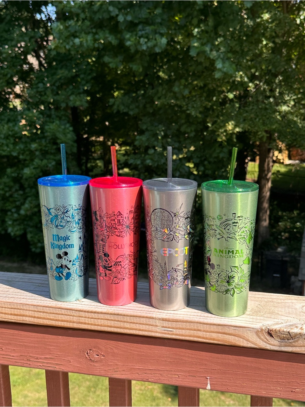 Starbucks x Disney Tumbler - Magic Kingdom, Hollywood, EPCOT, Animal Kingdom